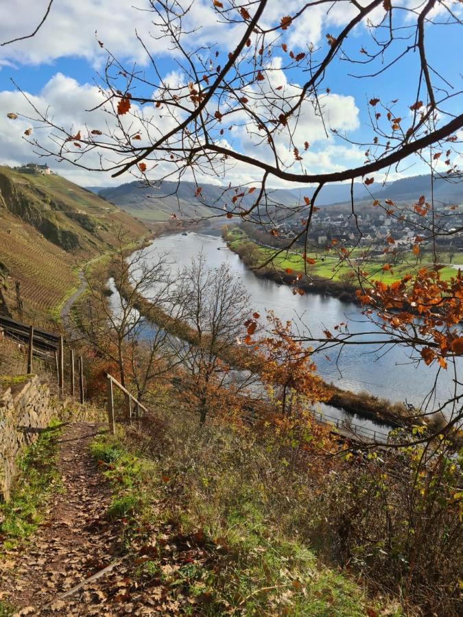 Ferienhaus Kaliva Zell an der Mosel Luaran gambar